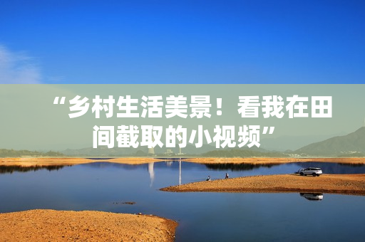 “鄉(xiāng)村生活美景！看我在田間截取的小視頻”