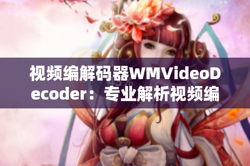 視頻編解碼器WMVideoDecoder：專業(yè)解析視頻編碼格式
