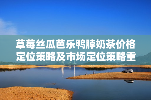 草莓絲瓜芭樂鴨脖奶茶價格定位策略及市場定位策略重新評估