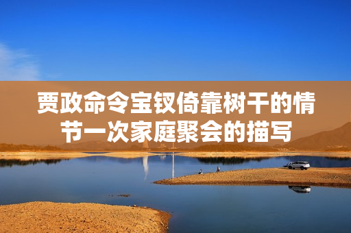 賈政命令寶釵倚靠樹干的情節(jié)一次家庭聚會(huì)的描寫