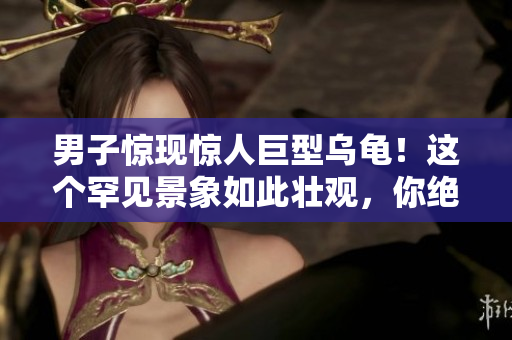 男子驚現(xiàn)驚人巨型烏龜！這個罕見景象如此壯觀，你絕對不能錯過。