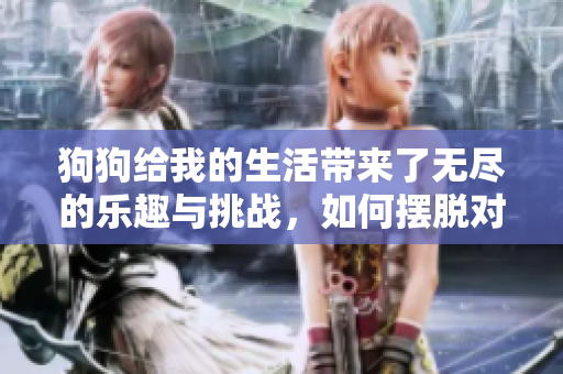 狗狗給我的生活帶來(lái)了無(wú)盡的樂(lè)趣與挑戰(zhàn)，如何擺脫對(duì)它們的沉迷？
