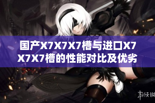 國產(chǎn)X7X7X7槽與進(jìn)口X7X7X7槽的性能對比及優(yōu)劣勢初探