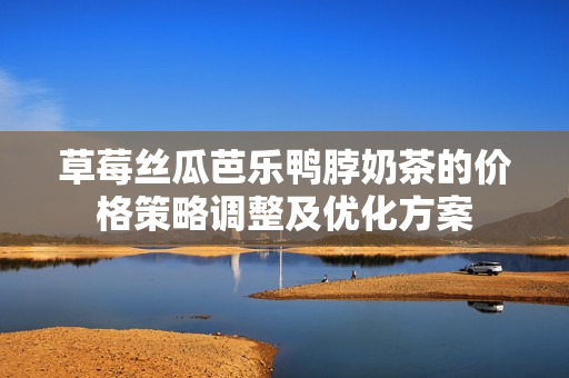 草莓絲瓜芭樂(lè)鴨脖奶茶的價(jià)格策略調(diào)整及優(yōu)化方案