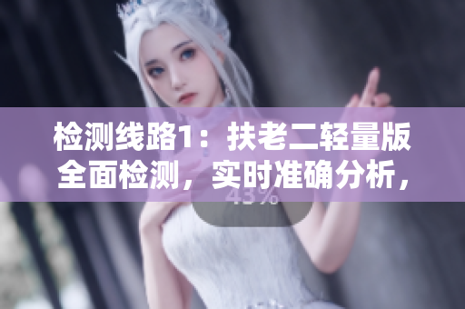 檢測線路1：扶老二輕量版全面檢測，實(shí)時(shí)準(zhǔn)確分析，保障安全行車