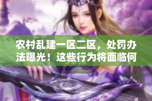 農(nóng)村亂建一區(qū)二區(qū)，處罰辦法曝光！這些行為將面臨何種懲罰？