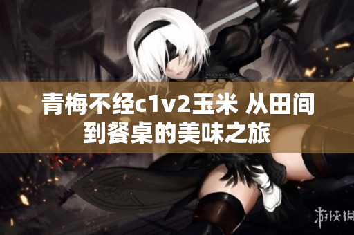 青梅不經(jīng)c1v2玉米 從田間到餐桌的美味之旅