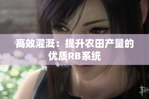 高效灌溉：提升農(nóng)田產(chǎn)量的優(yōu)質(zhì)RB系統(tǒng)