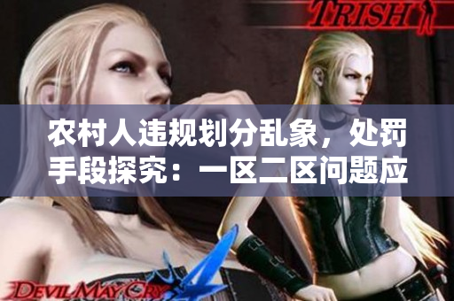 農村人違規(guī)劃分亂象，處罰手段探究：一區(qū)二區(qū)問題應對