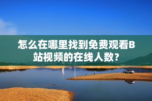 怎么在哪里找到免費(fèi)觀看B站視頻的在線人數(shù)？