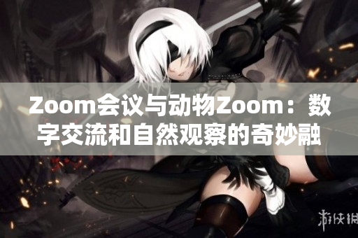 Zoom會(huì)議與動(dòng)物Zoom：數(shù)字交流和自然觀察的奇妙融合