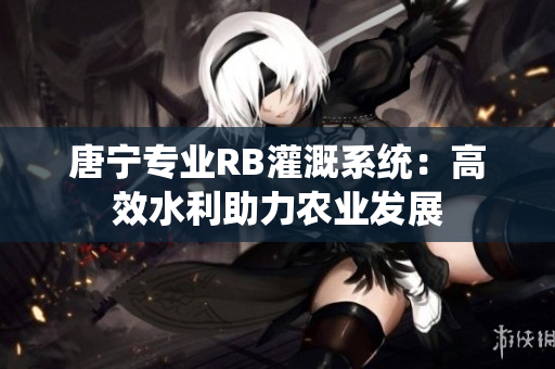 唐寧專業(yè)RB灌溉系統(tǒng)：高效水利助力農(nóng)業(yè)發(fā)展