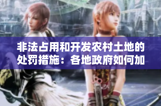 非法占用和開(kāi)發(fā)農(nóng)村土地的處罰措施：各地政府如何加強(qiáng)監(jiān)管和懲治