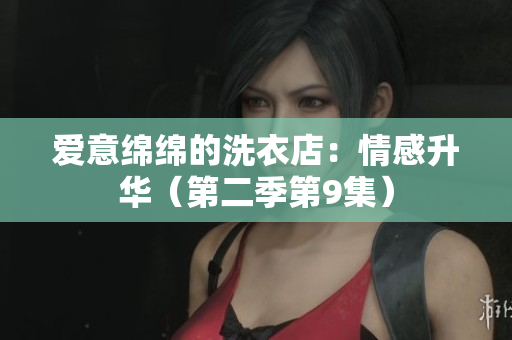 愛意綿綿的洗衣店：情感升華（第二季第9集）