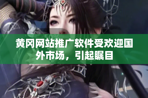 黃岡網(wǎng)站推廣軟件受歡迎國外市場，引起矚目