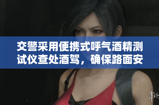 交警采用便攜式呼氣酒精測(cè)試儀查處酒駕，確保路面安全