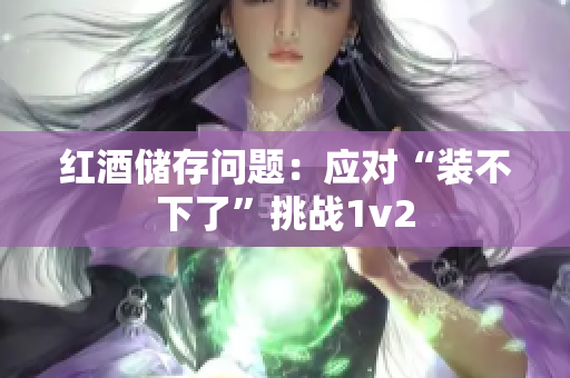 紅酒儲存問題：應(yīng)對“裝不下了”挑戰(zhàn)1v2