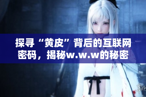 探尋“黃皮”背后的互聯(lián)網(wǎng)密碼，揭秘w.w.w的秘密