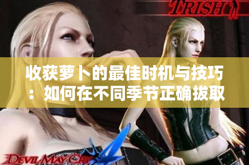 收獲蘿卜的最佳時(shí)機(jī)與技巧：如何在不同季節(jié)正確拔取和存儲蘿卜
