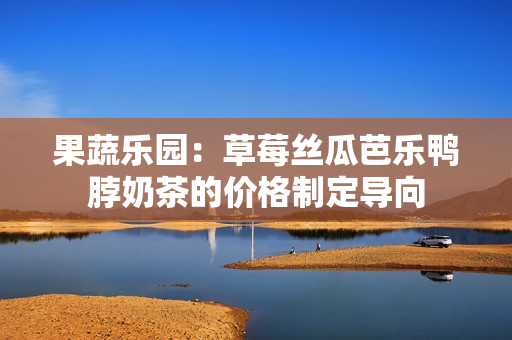 果蔬樂(lè)園：草莓絲瓜芭樂(lè)鴨脖奶茶的價(jià)格制定導(dǎo)向