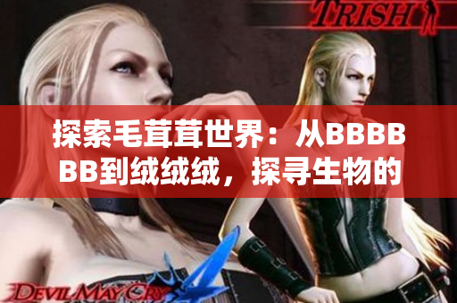 探索毛茸茸世界：從BBBBBB到絨絨絨，探尋生物的奇妙之處