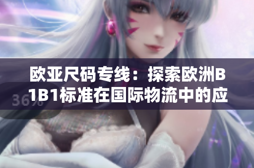 歐亞尺碼專(zhuān)線：探索歐洲B1B1標(biāo)準(zhǔn)在國(guó)際物流中的應(yīng)用與優(yōu)勢(shì)