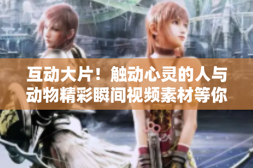 互動(dòng)大片！觸動(dòng)心靈的人與動(dòng)物精彩瞬間視頻素材等你下載