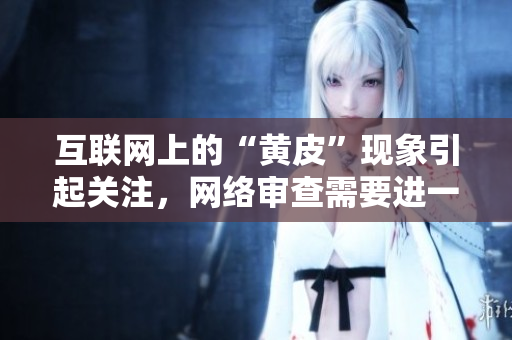互聯(lián)網(wǎng)上的“黃皮”現(xiàn)象引起關注，網(wǎng)絡審查需要進一步加強