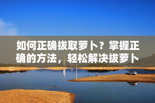 如何正確拔取蘿卜？掌握正確的方法，輕松解決拔蘿卜難題