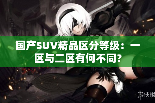 國產(chǎn)SUV精品區(qū)分等級：一區(qū)與二區(qū)有何不同？