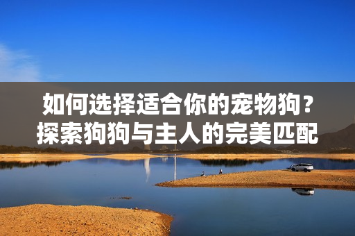 如何選擇適合你的寵物狗？探索狗狗與主人的完美匹配