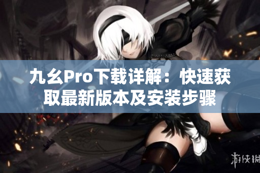 九幺Pro下載詳解：快速獲取最新版本及安裝步驟