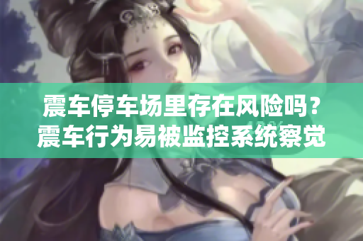 震車停車場里存在風(fēng)險(xiǎn)嗎？震車行為易被監(jiān)控系統(tǒng)察覺嗎？