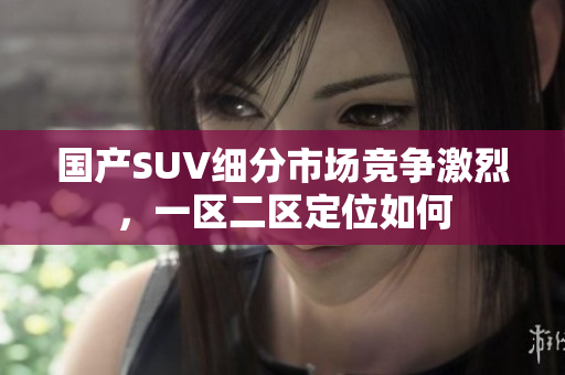 國(guó)產(chǎn)SUV細(xì)分市場(chǎng)競(jìng)爭(zhēng)激烈，一區(qū)二區(qū)定位如何