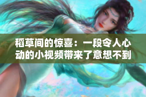 稻草間的驚喜：一段令人心動(dòng)的小視頻帶來(lái)了意想不到的驚喜