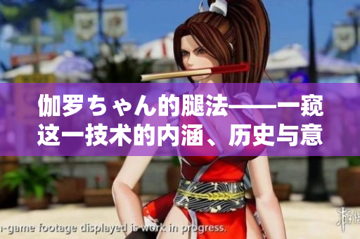 伽羅ちゃん的腿法——一窺這一技術(shù)的內(nèi)涵、歷史與意義