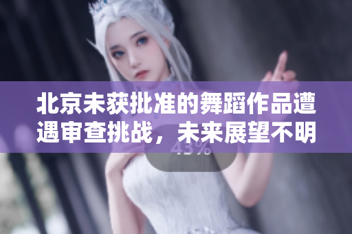 北京未獲批準的舞蹈作品遭遇審查挑戰(zhàn)，未來展望不明確