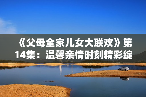 《父母全家兒女大聯(lián)歡》第14集：溫馨親情時(shí)刻精彩綻放