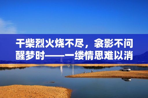 干柴烈火燒不盡，衾影不問醒夢時——一縷情思難以消逝