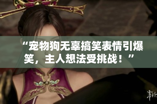 “寵物狗無辜搞笑表情引爆笑，主人想法受挑戰(zhàn)！”