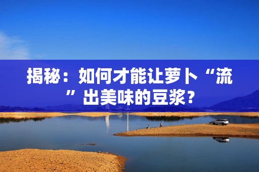 揭秘：如何才能讓蘿卜“流”出美味的豆?jié){？