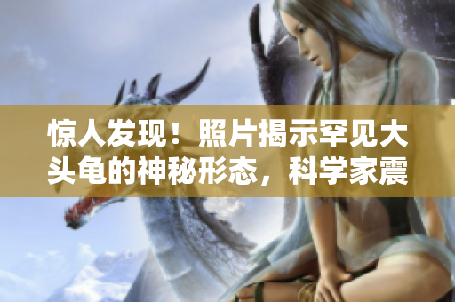 驚人發(fā)現(xiàn)！照片揭示罕見大頭龜?shù)纳衩匦螒B(tài)，科學(xué)家震驚不已！