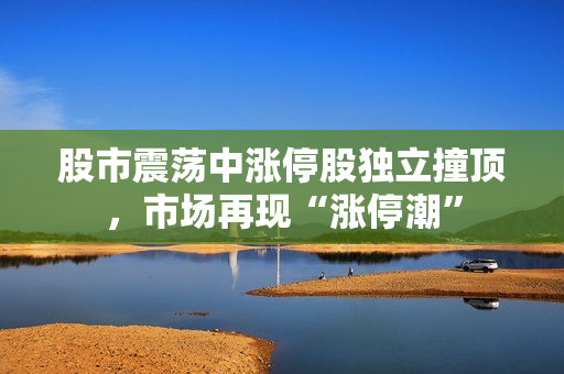 股市震蕩中漲停股獨(dú)立撞頂，市場(chǎng)再現(xiàn)“漲停潮”