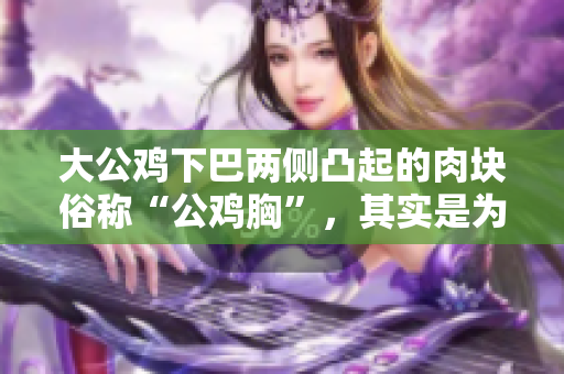 大公雞下巴兩側(cè)凸起的肉塊俗稱(chēng)“公雞胸”，其實(shí)是為了保護(hù)喉嚨