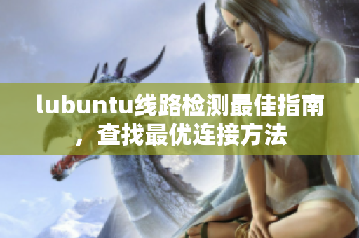 lubuntu線路檢測(cè)最佳指南，查找最優(yōu)連接方法