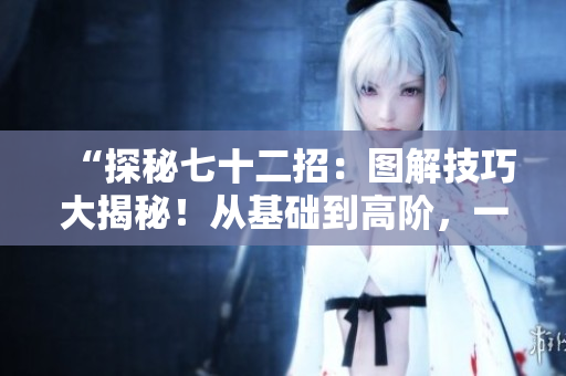 “探秘七十二招：圖解技巧大揭秘！從基礎(chǔ)到高階，一圖勝千言，助你輕松掌握！”