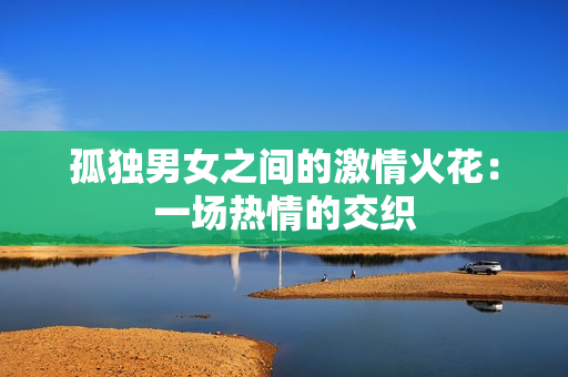 孤獨男女之間的激情火花：一場熱情的交織