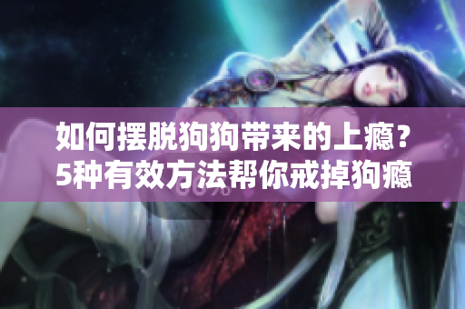 如何擺脫狗狗帶來(lái)的上癮？5種有效方法幫你戒掉狗癮