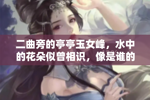 二曲旁的亭亭玉女峰，水中的花朵似曾相識，像是誰的風(fēng)采