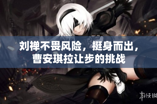 劉禪不畏風(fēng)險(xiǎn)，挺身而出，曹安琪拉讓步的挑戰(zhàn)